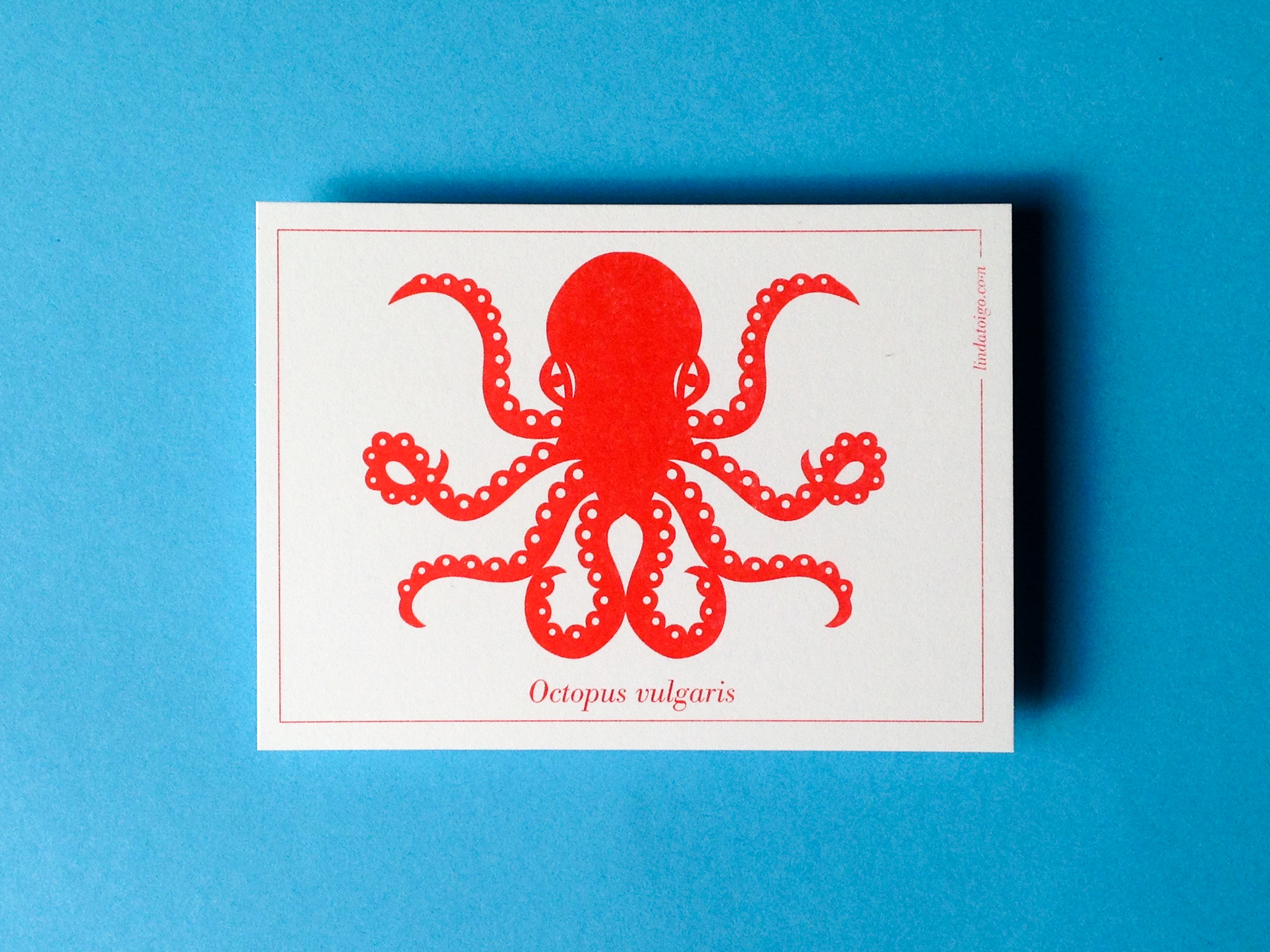 postcard 7 octopus
